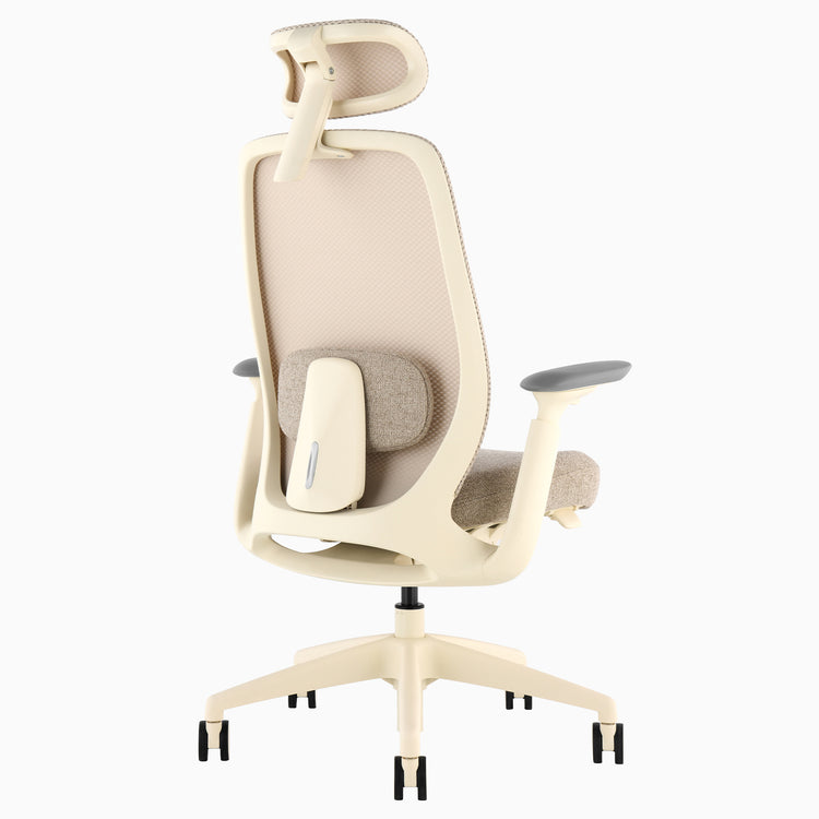 Desky Sereno Ergonomic Office Task Chair