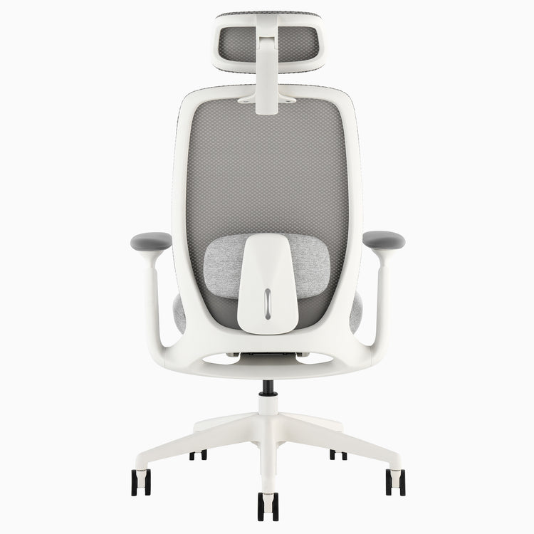 Desky Sereno Ergonomic Office Task Chair