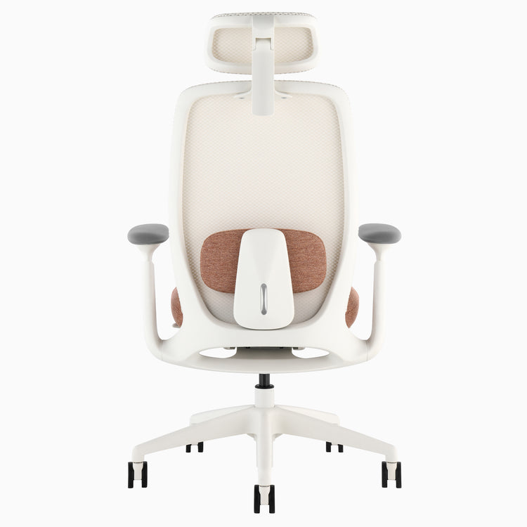 Desky Sereno Ergonomic Office Task Chair
