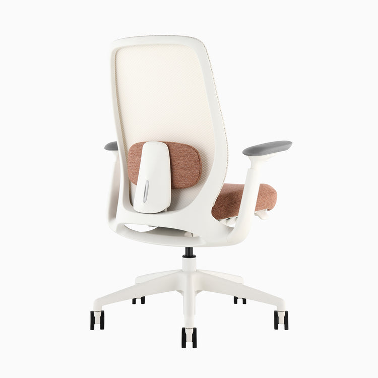 Desky Sereno Ergonomic Office Task Chair