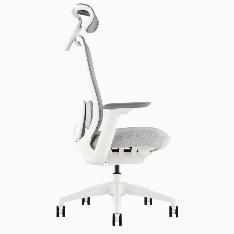 Desky Sereno Ergonomic Office Task Chair