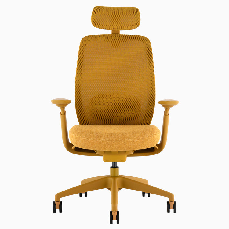 Desky Sereno Ergonomic Office Task Chair