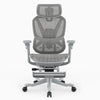 A gray ergonomic office chair with a mesh back, adjustable armrests, a headrest, and a five-wheel base, shown against a plain white background.