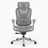 A gray mesh ergonomic office chair with adjustable armrests, a five-star base, and black casters, shown against a plain white background.