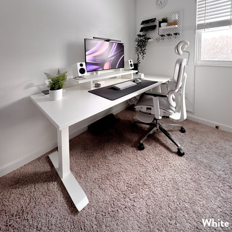 Desky Dual Laminate Sit Stand Desk