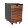 Desky wooden minimalist cabinet hardwood walnut