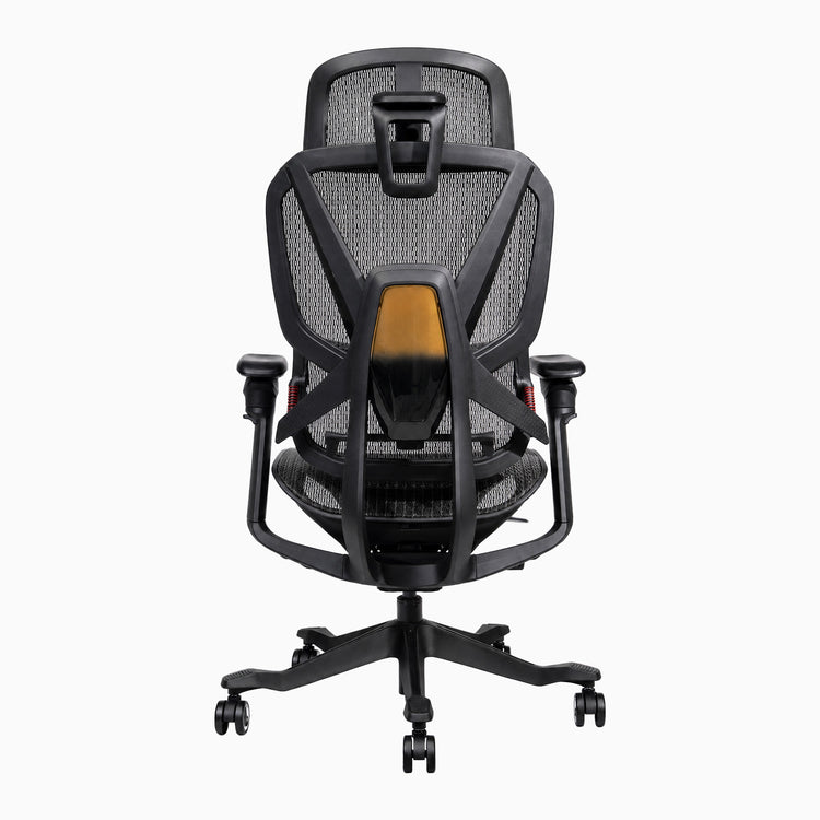 Desky contourra ergonomic office chair adjustable back rest