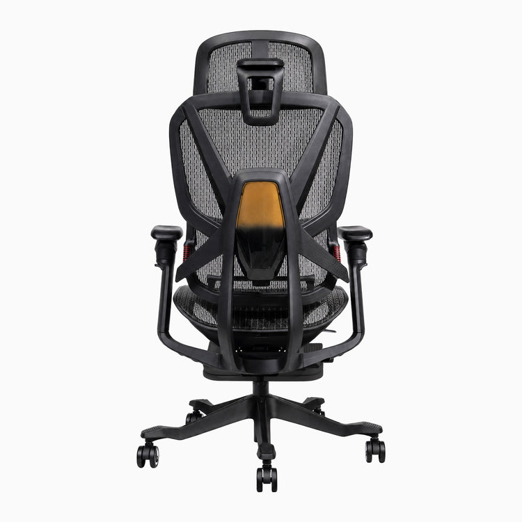 Contourra ergonomic office chair adjustable back