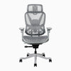 Contourra ergonomic office chair in light grey