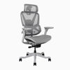 Contourra ergonomic office chair in light grey