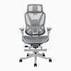 Highly adjustable ergonomic office Contourra chair with foot rest