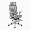 Contourra ergonomic office chair in light grey