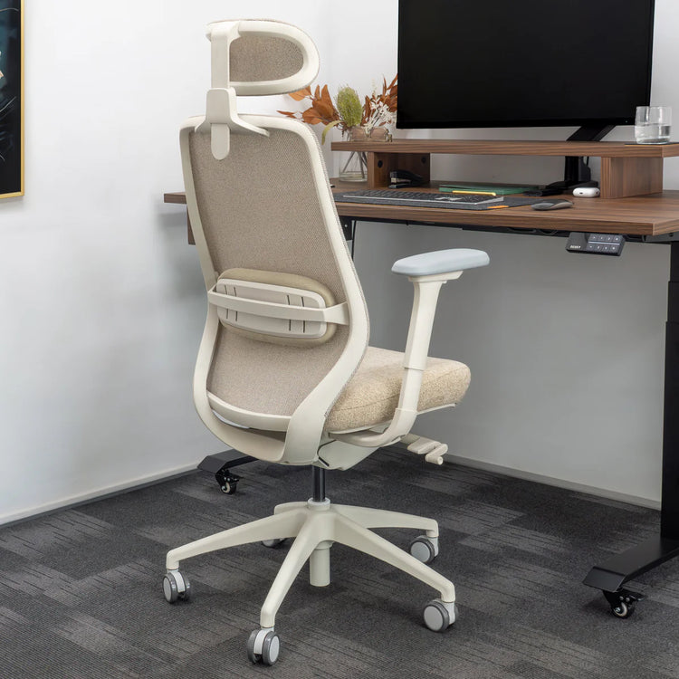 Chaise de bureau ergonomique Desky Coilflex