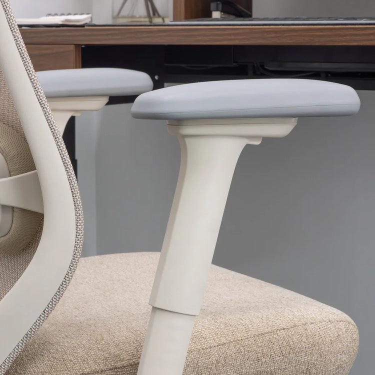 Chaise de bureau ergonomique Desky Coilflex