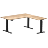 L-Shape Standing Desks