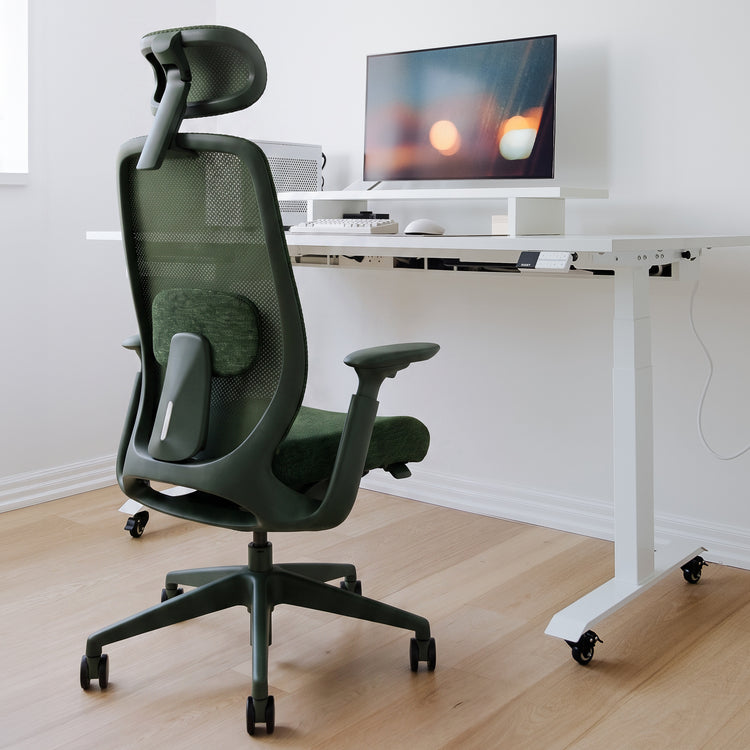 Chaise de travail ergonomique Desky Sereno