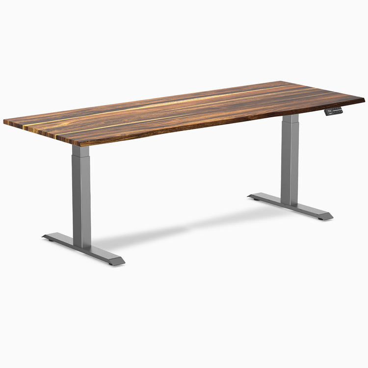 Dual hardwood standing desk - pheasantwood - space grey 80"