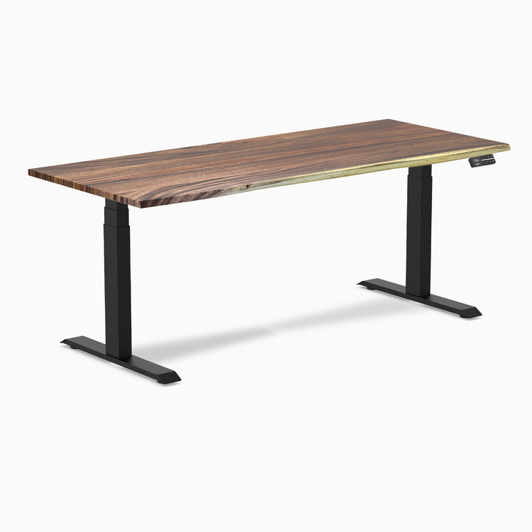 Desky Dual Hardwood Sit Stand Desk