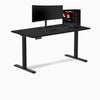 Desky Single Sit Stand Gaming Desk setup