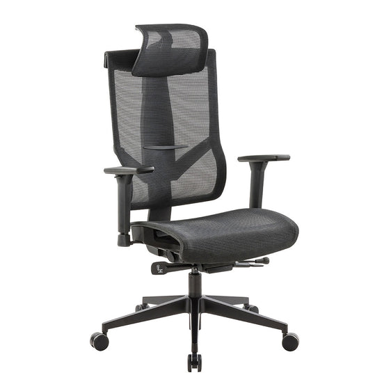 Desky Rio Ergonomic Office Chairs Canada Loves - Desky® Canada