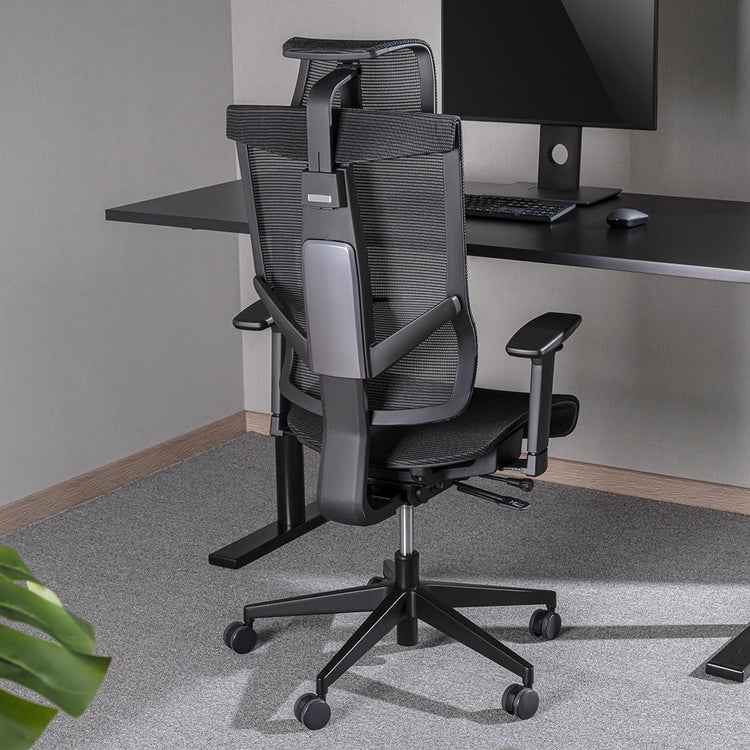 https://desky.ca/cdn/shop/products/Desky-Pro_Adjustable-High-Back-Mesh-Chair_750x.jpg?v=1674532321